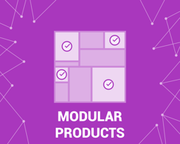 Picture of Modular Product (sets of products) (foxnetsoft.com)